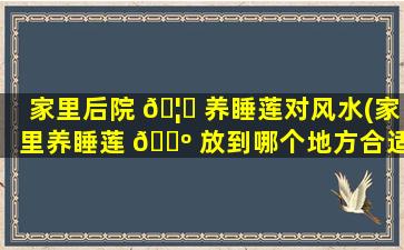 家里后院 🦅 养睡莲对风水(家里养睡莲 🐺 放到哪个地方合适)